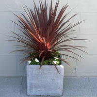 patio garden containers
