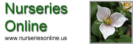 Plants and Gardening From Nurseries Online 